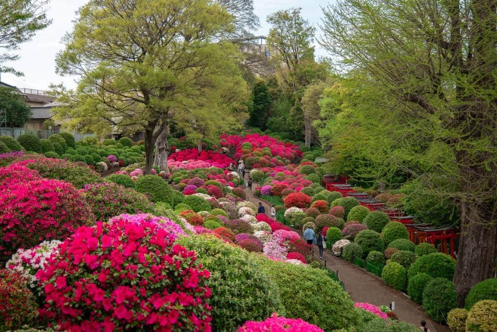 🌳 불로산 종합공원(후로산 소고 코엔) 이미지 8